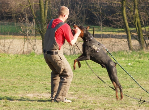 Training 26. 3. 2007